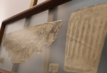 Territorio de Ideas: Patrimonialidad y poética del Centro Histórico de Santa Cruz